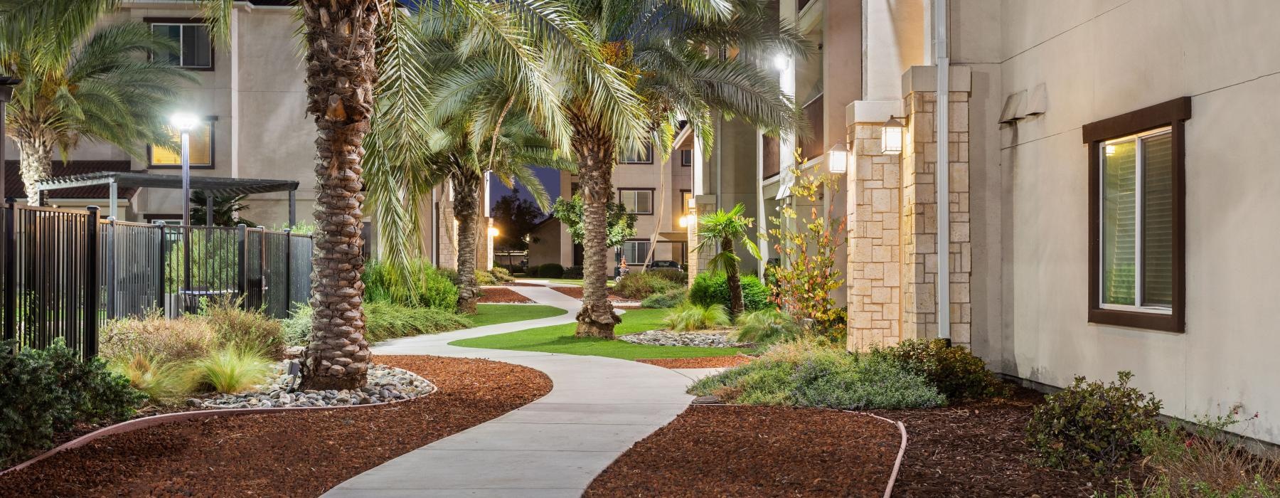walking path framed with palm trees and buildings
