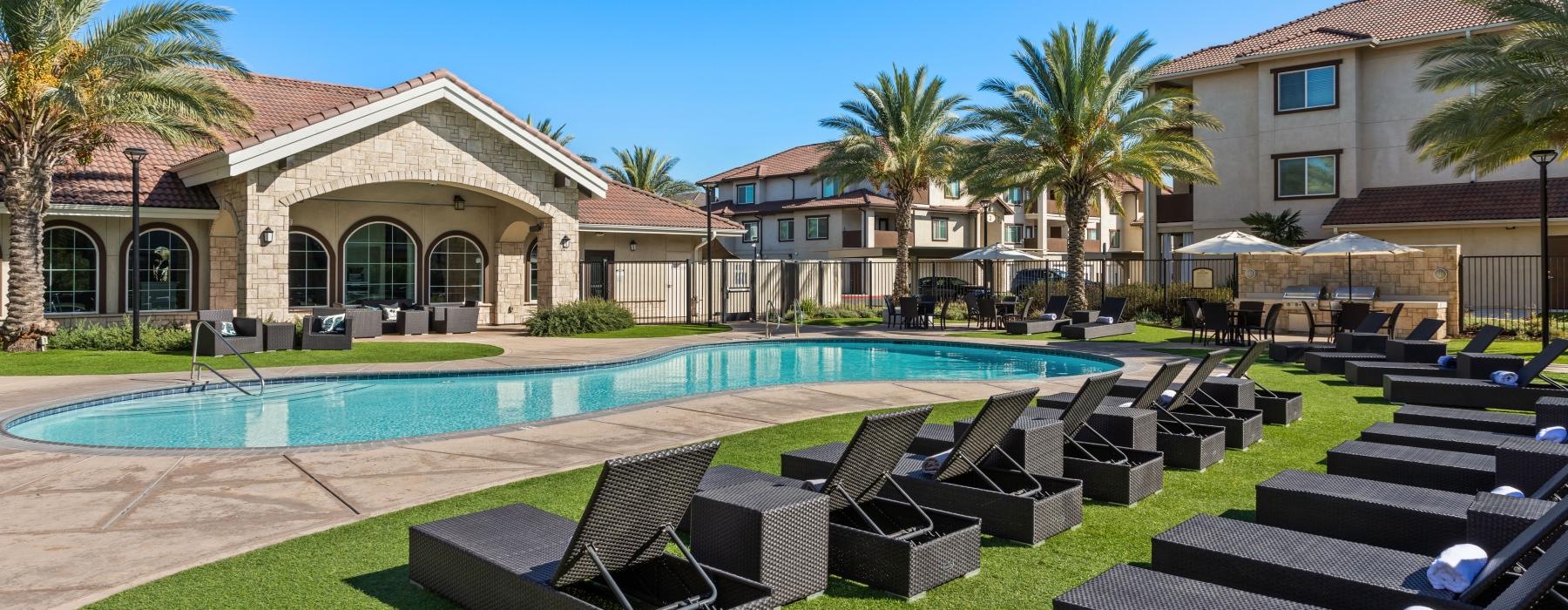 lawn of lounge chairs next to pool